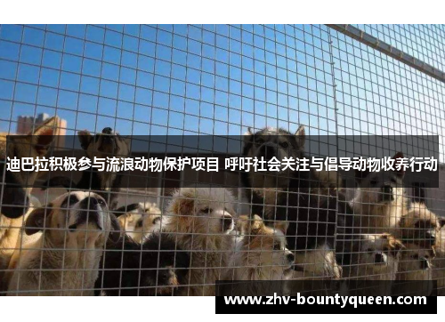 迪巴拉积极参与流浪动物保护项目 呼吁社会关注与倡导动物收养行动